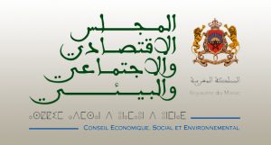 المجلس الاقتصادي والاجتماعي والبيئي