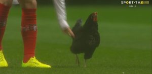 مقاضاة لاعب كرة قدم بسبب "دجاجة"