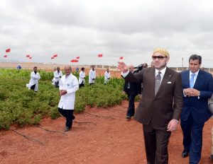 غابات المغرب 2020-2030 .. استراتيجية تكرس الرؤية الملكية لتنمية مستدامة