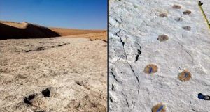 السعودية.. فريق بحث يعثر على آثار بشرية حول بحيرة تعود لـ 120 ألف عام