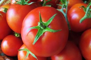 إسبانيا روسيا تحظر استيراد احد انواع الطماطم من المغرب