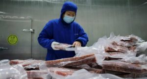 الصين.. رصد فيروس كورونا على عبوات لحم خنزير مجمد مستورد من الأرجنتين