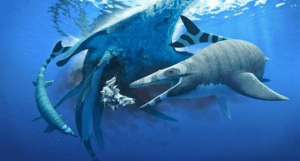 المغرب.. اكتشاف موزازور جديد من العصر الطباشيري، سحلية بحرية بـ أسنان القرش