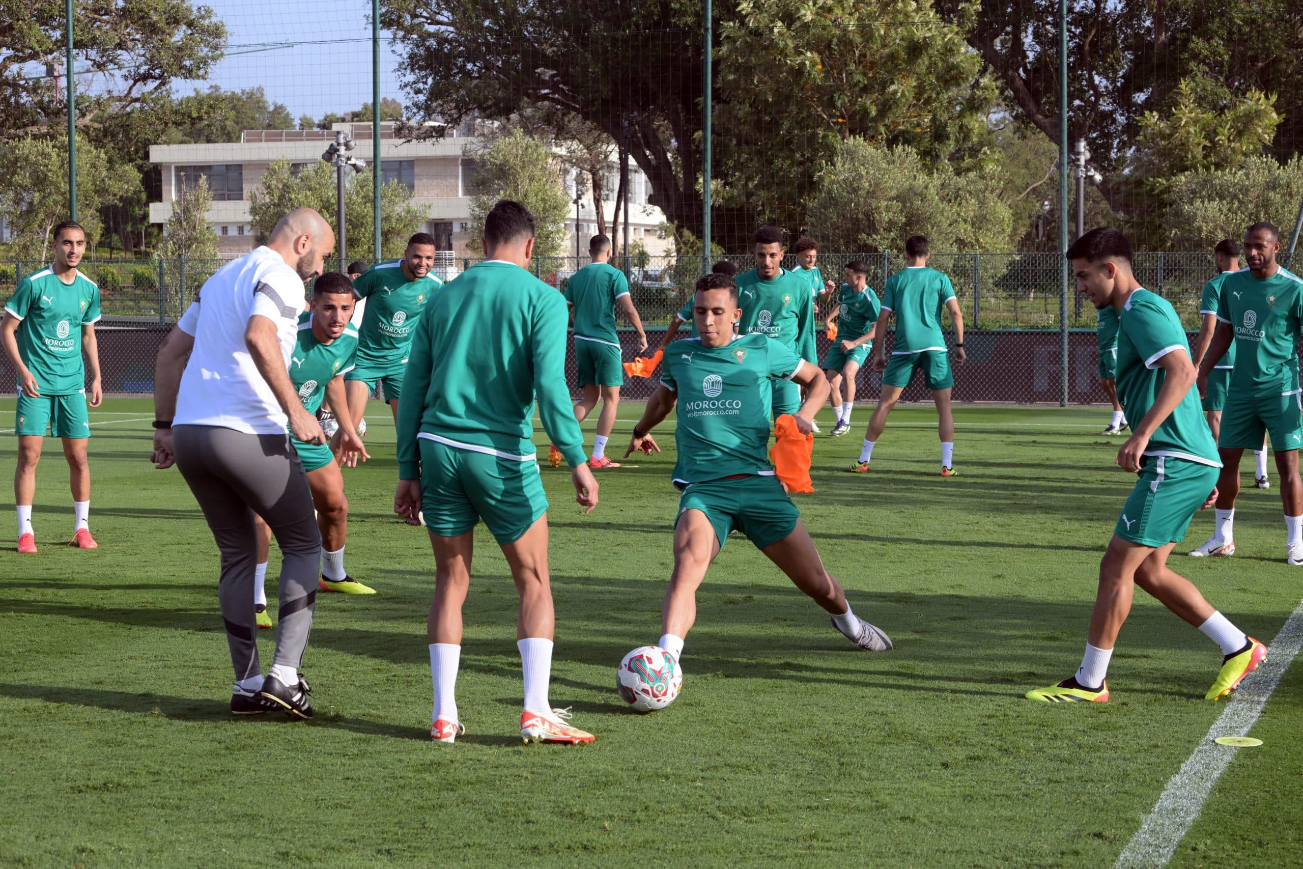 حصة تدريبية للأسود وطبيب المنتخب: اللاعبون بصحة جيدة ومستعدون لمقابلة زاميا والكونغو