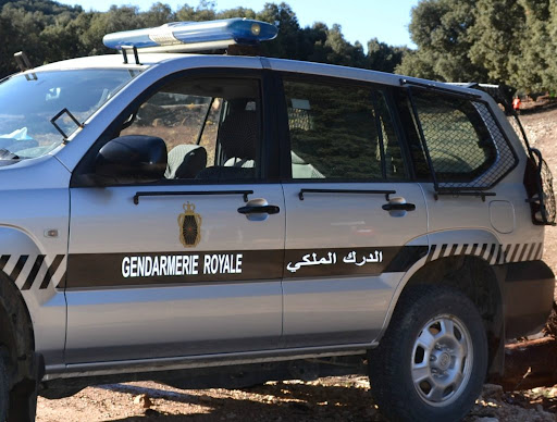 نباح كلبة يثير الانتباه..العثور على رضيع حديث الولادة ميتا بالشارع العام بالدروة