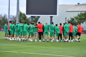 الأسود وديتي تونس والبنين