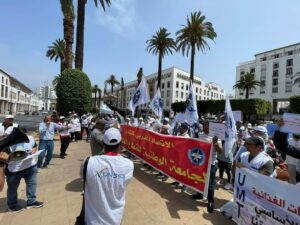 الجامعة الوطنية للقطاع الفلاحي