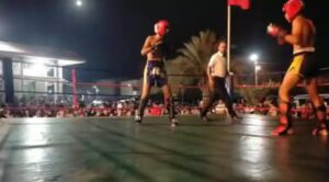 الكيك