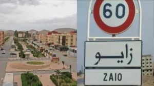 زايو